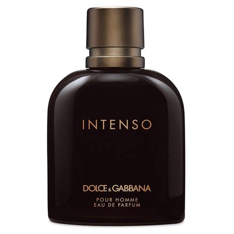 dolce gabbana vetement homme|d&g pour homme intenso.